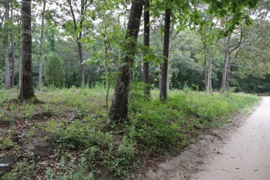 Lake Lot For Sale in Eutawville, South Carolina