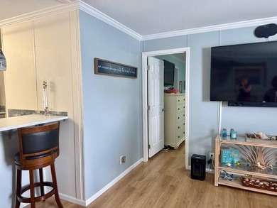 Stunning 3-Bedroom, 2-Bath Home with Lake View in Colony Cove - - photo 25