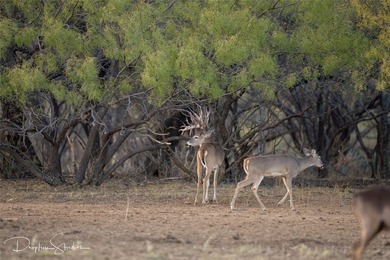 Discover a rare opportunity to own the 5K Ranch, a premier - photo 33