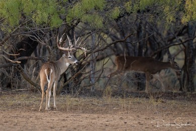 Discover a rare opportunity to own the 5K Ranch, a premier - photo 34
