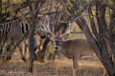 Discover a rare opportunity to own the 5K Ranch, a premier - photo 35