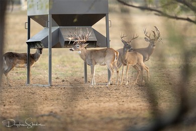 Discover a rare opportunity to own the 5K Ranch, a premier - photo 36