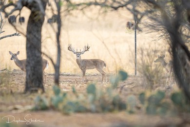 Discover a rare opportunity to own the 5K Ranch, a premier - photo 37