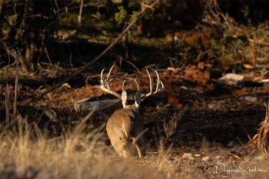 Discover a rare opportunity to own the 5K Ranch, a premier - photo 38