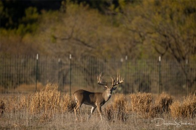 Discover a rare opportunity to own the 5K Ranch, a premier - photo 39