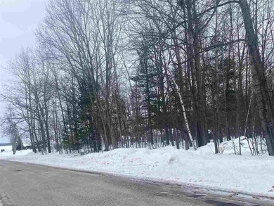Douglas Lake Lot For Sale in Pellston Michigan