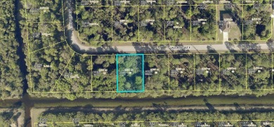 (private lake, pond, creek) Lot For Sale in Lehigh Acres Florida