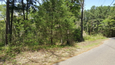 Deep Water Lot on Lake Palestine with Sunset Views - photo 5