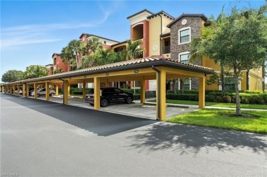 Lake Home For Sale in Bonita Springs, Florida