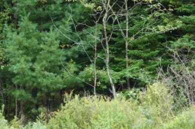 Mirror Lake Acreage For Sale in Davis West Virginia