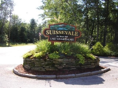 Lake Winnipesaukee Lot Active Under Contract in Moultonborough New Hampshire