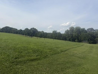 This listing has 3 options. Option1 - House, sheds, shop, barn - photo 7