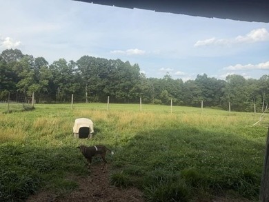 This listing has 3 options. Option1 - House, sheds, shop, barn - photo 8