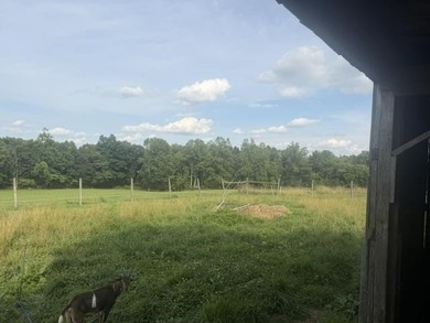 This listing has 3 options. Option1 - House, sheds, shop, barn - photo 9