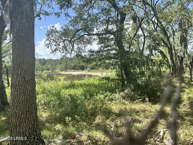 This exceptional 1.42 acre double lot on Lady's Island offers - photo 14