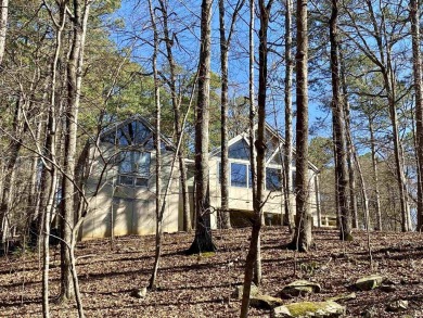 Privacy at Mountain Harbor Resort on Lake Ouachita! 2 - photo 34