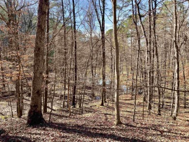 Privacy at Mountain Harbor Resort on Lake Ouachita! 2 - photo 38