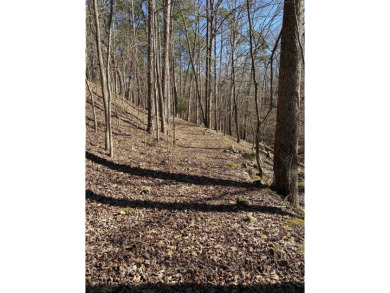 Privacy at Mountain Harbor Resort on Lake Ouachita! 2 - photo 40