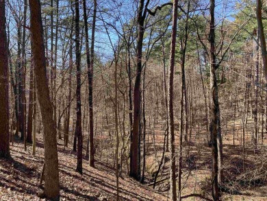 Privacy at Mountain Harbor Resort on Lake Ouachita! 2 - photo 41