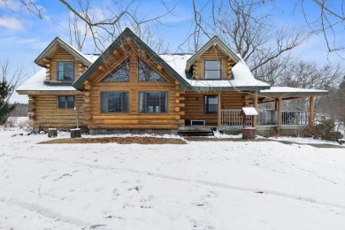 Lake Home For Sale in Hesperia, Michigan