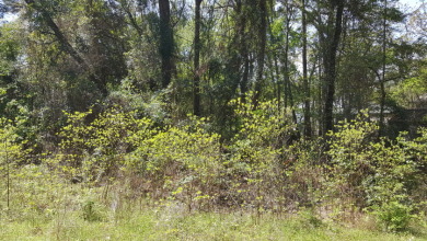 Deep Water Lot on Lake Palestine with Sunset Views - photo 12