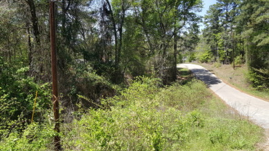 Deep Water Lot on Lake Palestine with Sunset Views - photo 10