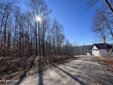 Want a large acreage tract with lake frontage? These two lots - photo 11