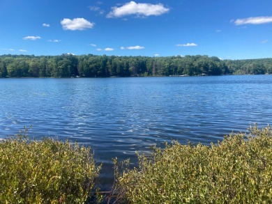Little Long Lake Acreage For Sale in Wabeno Wisconsin