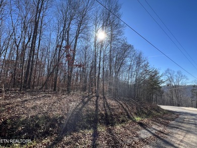 Want a large acreage tract with lake frontage? These two lots - photo 12