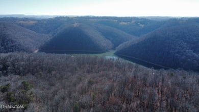 Want a large acreage tract with lake frontage? These two lots - photo 13