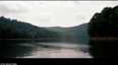 Want a large acreage tract with lake frontage? These two lots - photo 17