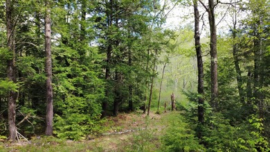 Rare 29A+- acre parcel just minutes from Lake St. George and all - photo 1
