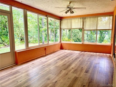 Beautiful, large move in ready home. 3 bedroom 2 bathroom - photo 31