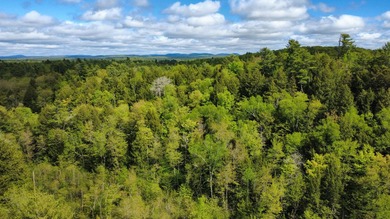 Rare 29A+- acre parcel just minutes from Lake St. George and all - photo 2