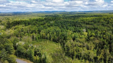 Rare 29A+- acre parcel just minutes from Lake St. George and all - photo 3