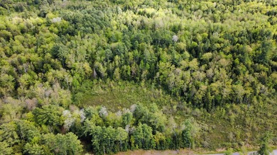 Rare 29A+- acre parcel just minutes from Lake St. George and all - photo 4
