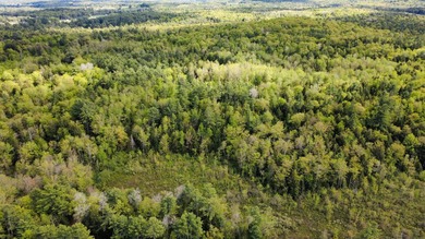 Rare 29A+- acre parcel just minutes from Lake St. George and all - photo 5