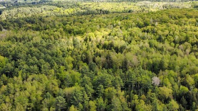 Rare 29A+- acre parcel just minutes from Lake St. George and all - photo 6