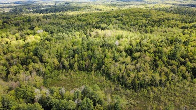 Rare 29A+- acre parcel just minutes from Lake St. George and all - photo 7