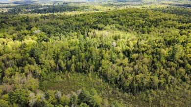 Rare 29A+- acre parcel just minutes from Lake St. George and all - photo 8
