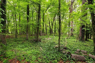 This is the home you've been waiting for! Flooded with natural - photo 39