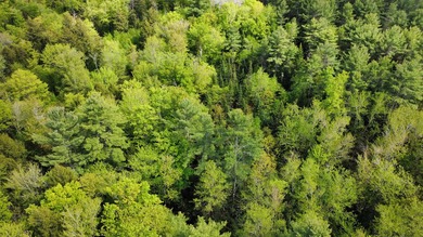 Rare 29A+- acre parcel just minutes from Lake St. George and all - photo 9