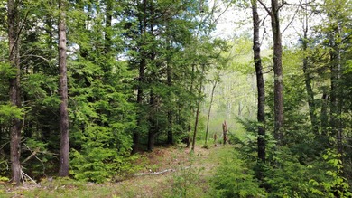Rare 29A+- acre parcel just minutes from Lake St. George and all - photo 10