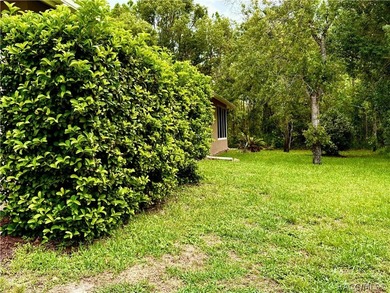 Beautiful, large move in ready home. 3 bedroom 2 bathroom - photo 50