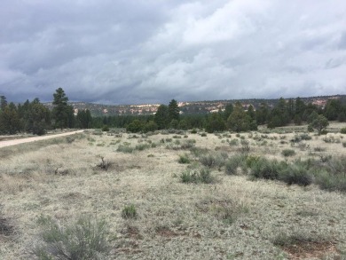 Ramah Reservoir Acreage For Sale in Ramah New Mexico