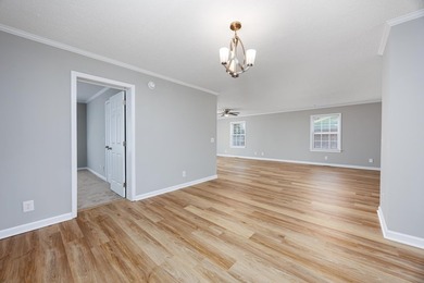 Welcome to 507 Forestbrook Drive, a beautifully updated - photo 13