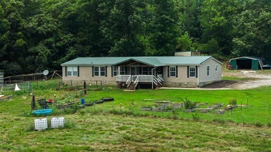 Welcome to your MINI FARM! Complete with farm animals, fruit - photo 2