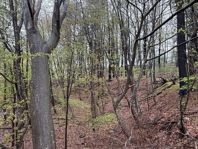 A rare opportunity in one of Wells' most desirable locations - photo 2