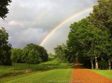Located in a beautiful recreational and country living corridor - photo 9