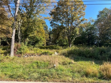 (private lake, pond, creek) Lot For Sale in Lisbon Connecticut